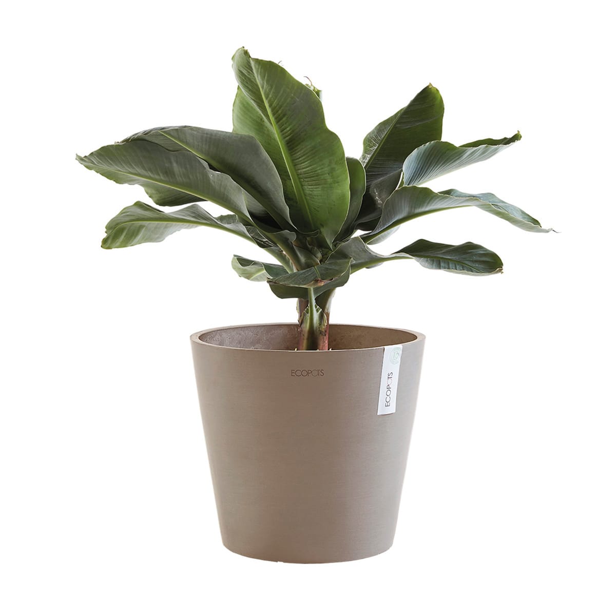 Bricocenter AMSTERDAM VASE D 30 CM H 26,5 CM BROWN STONE