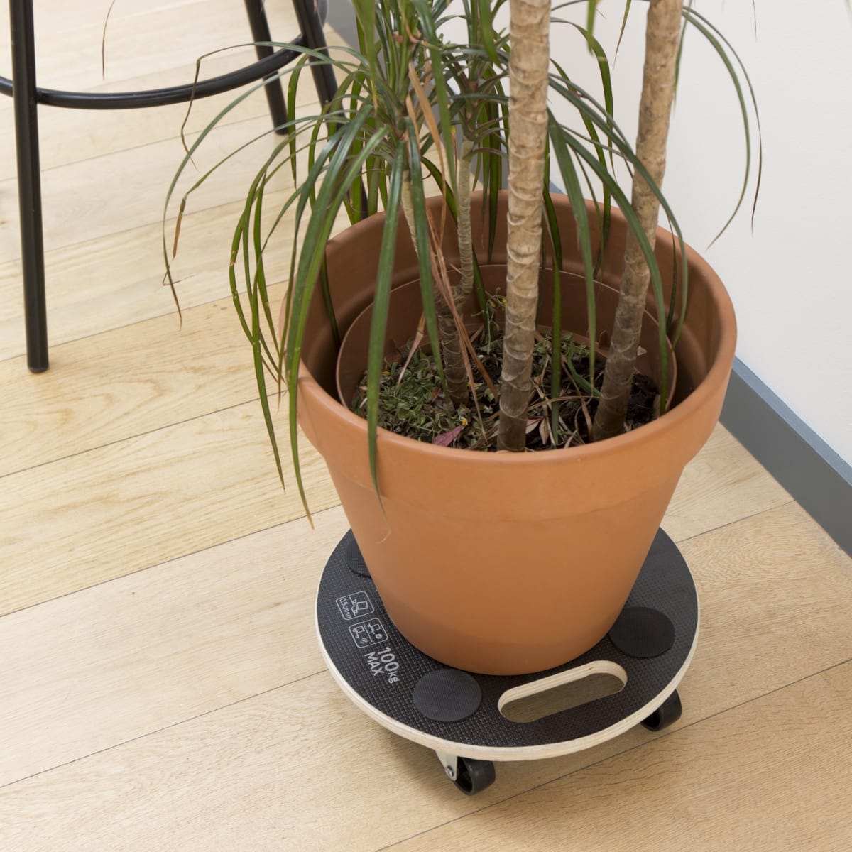 Bricocenter BASE MOVES EVERYTHING DIAM. 30 CM CAPACITY 100 KG, 4 WHEELS DIAM. 50MM INCLUDING TWO WITH BRAKES