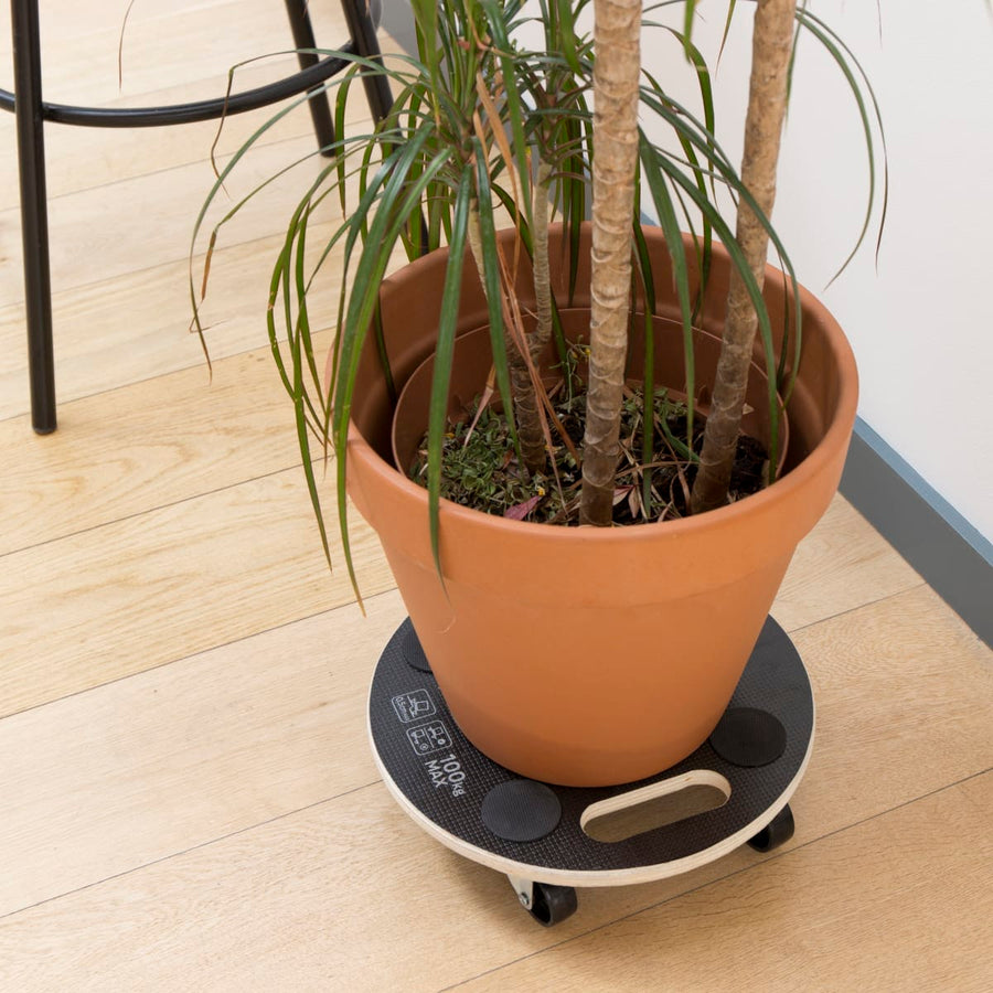 Bricocenter BASE MOVES EVERYTHING DIAM. 30 CM CAPACITY 100 KG, 4 WHEELS DIAM. 50MM INCLUDING TWO WITH BRAKES
