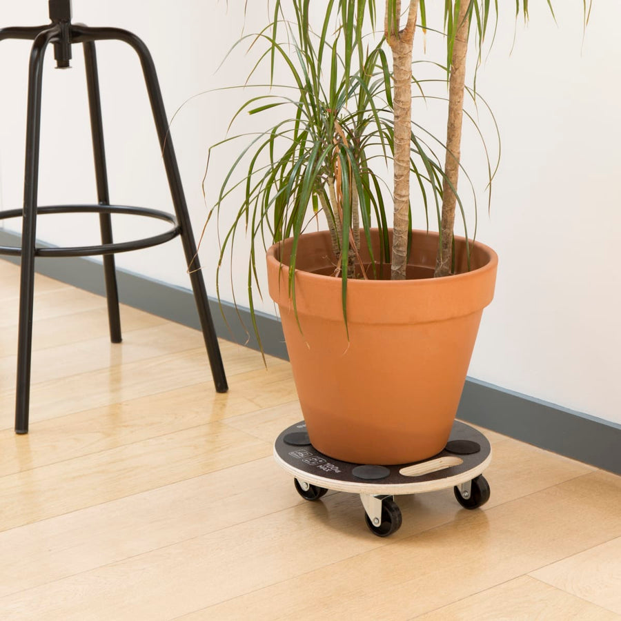 Bricocenter BASE MOVES EVERYTHING DIAM. 30 CM CAPACITY 100 KG, 4 WHEELS DIAM. 50MM INCLUDING TWO WITH BRAKES