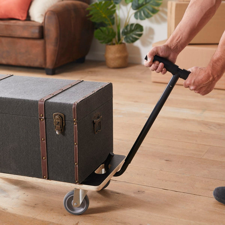 Bricocenter HANDLE FOR BASE MOVES EVERYTHING SIZE 57-92CM