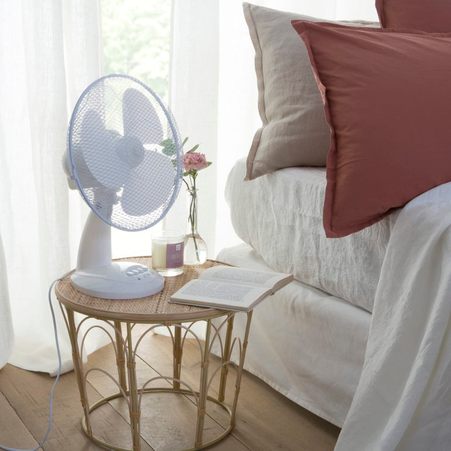 Bricocenter TABLE FAN DIA 30CM 40W WHITE EQUATION