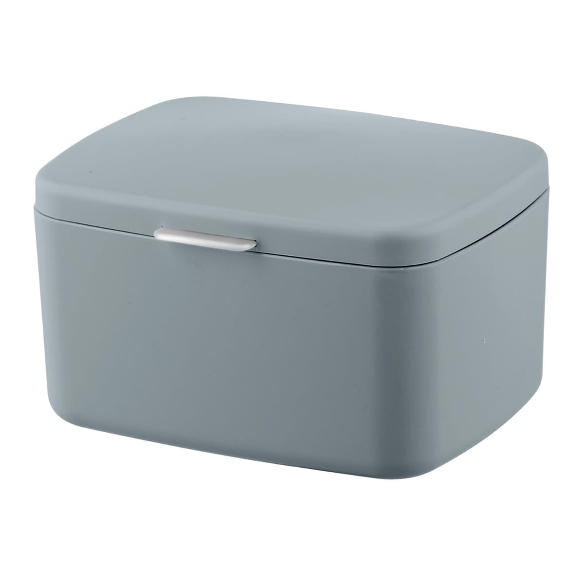 Bricocenter CONTAINER WITH LID BARCELONA, GREY