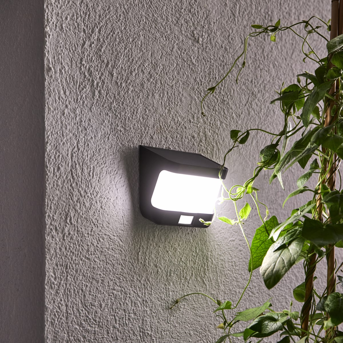 Bricocenter SOLAR WALL SCONCE FANO PLASTIC BLACK LED 8W WITH SENSOR IP54