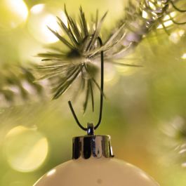 BLISTER 75 GREEN HOOKS