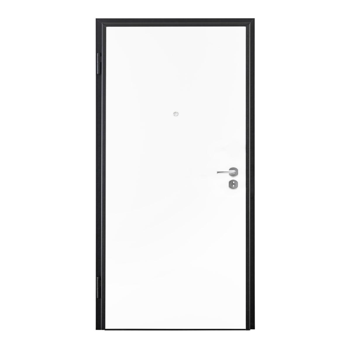 ARMORED DOOR GHEPARD BCO/NOC 80X210 DXM DX