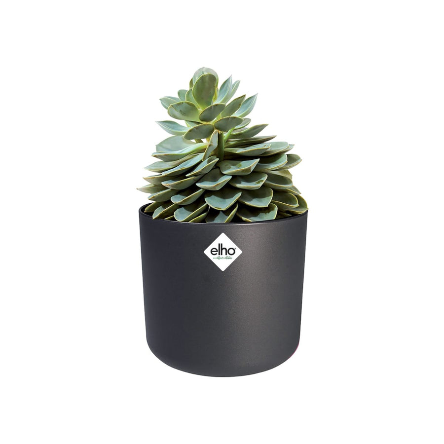 Bricocenter B.for Soft Round ELHO pot coverDIAM 30 H27,6 CM ANTHRACITE