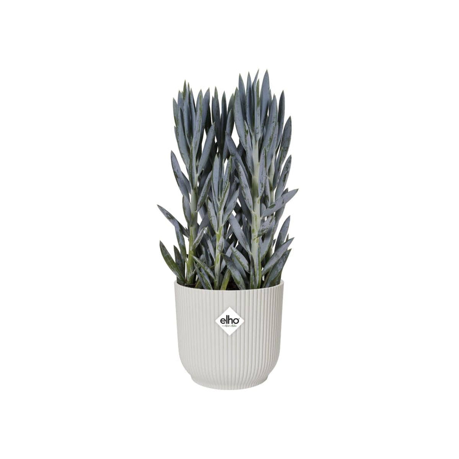 Bricocenter B.for Soft Round ELHO pot cover DIAM 25 H23,3 CM WHITE