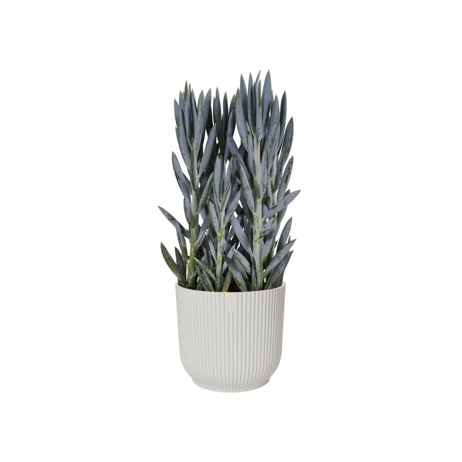 Bricocenter B.for Soft Round ELHO pot cover DIAM 25 H23,3 CM WHITE