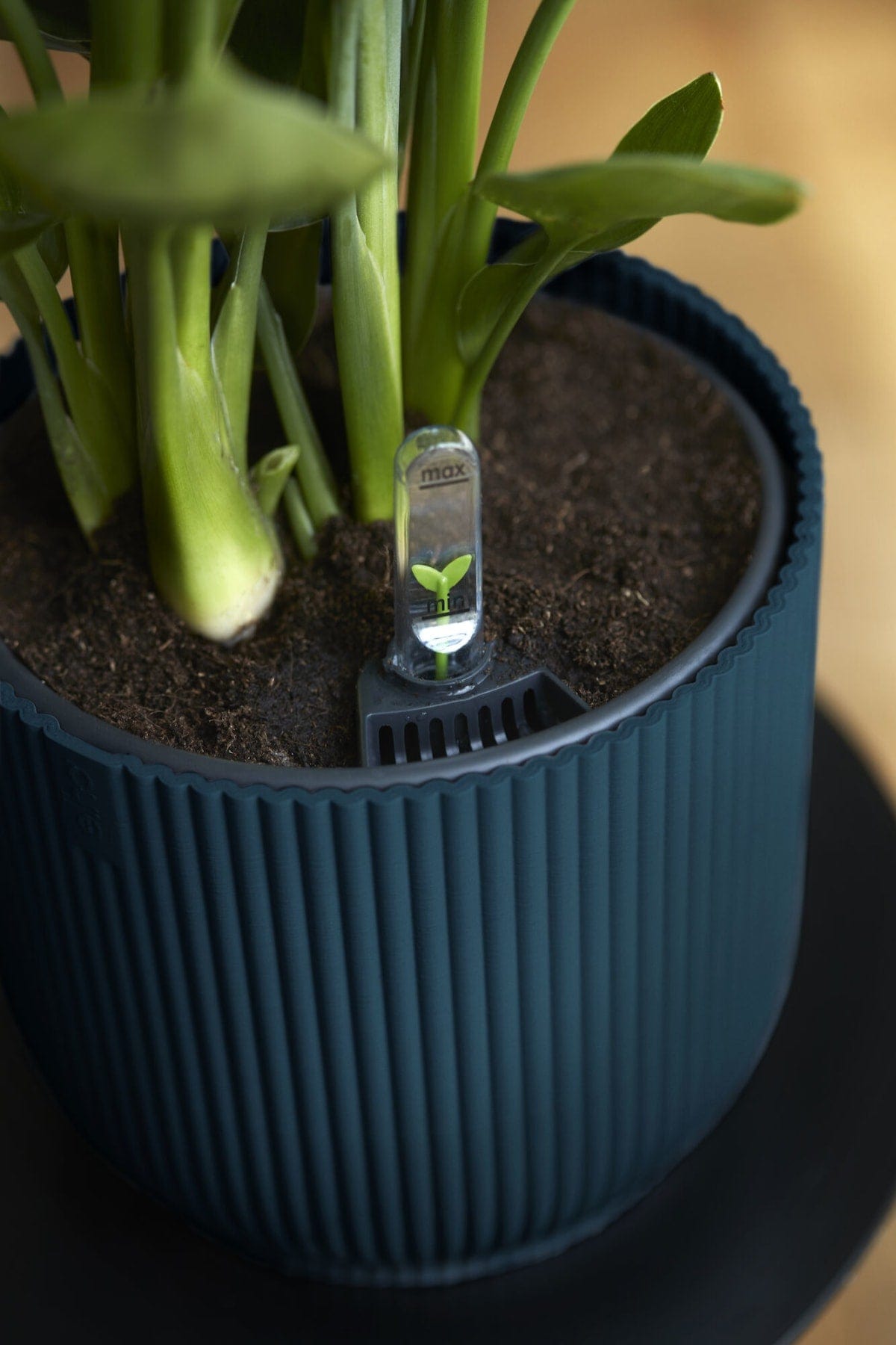 Bricocenter COVER VIBES BLUE 22 CM