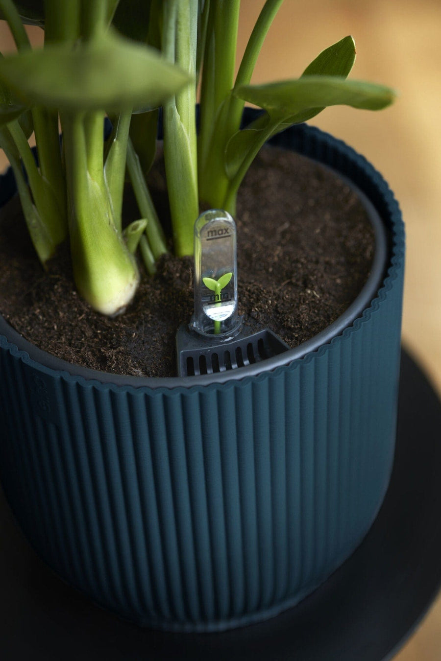 Bricocenter COVER VIBES BLUE 22 CM