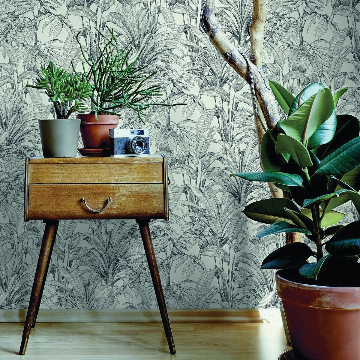 Bricocenter BLACK FERN WALLPAPER ON WHITE BACKGROUND 53CMX10.5M