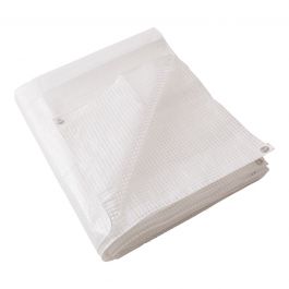 TRANSPARENT EYELET SHEET 160 GR 2X3M