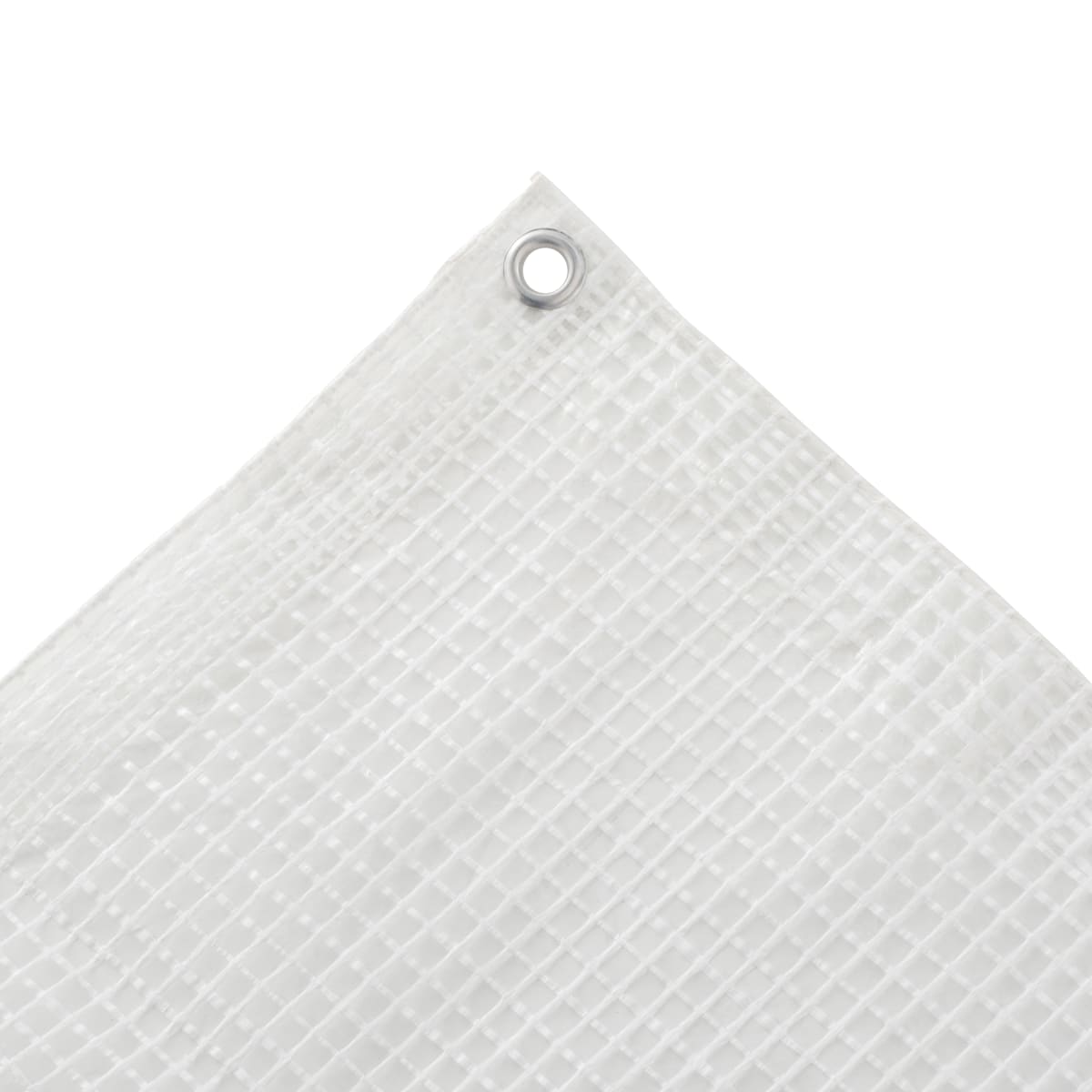 Bricocenter TRANSPARENT EYELET SHEET 160 GR 2X3M