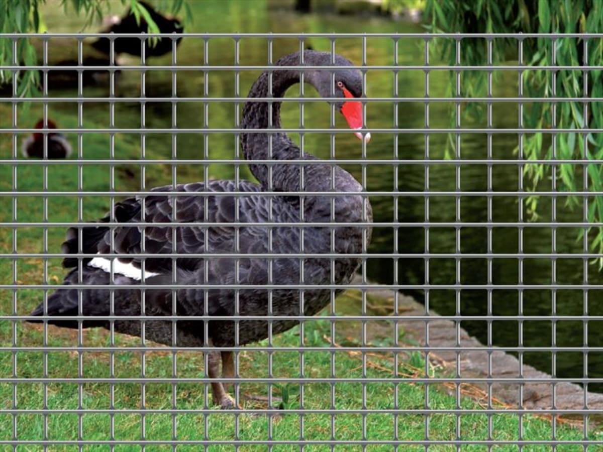 Bricocenter ELECTROZINC SILVER METAL NET 1X10 M