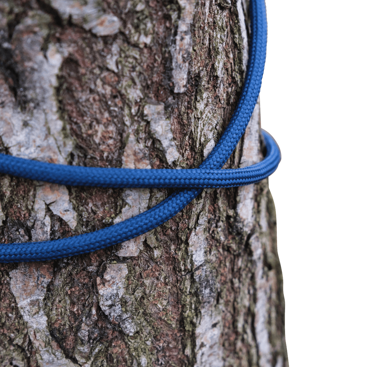 BRILLIANT BLUE PP ROPE D6MM 10M