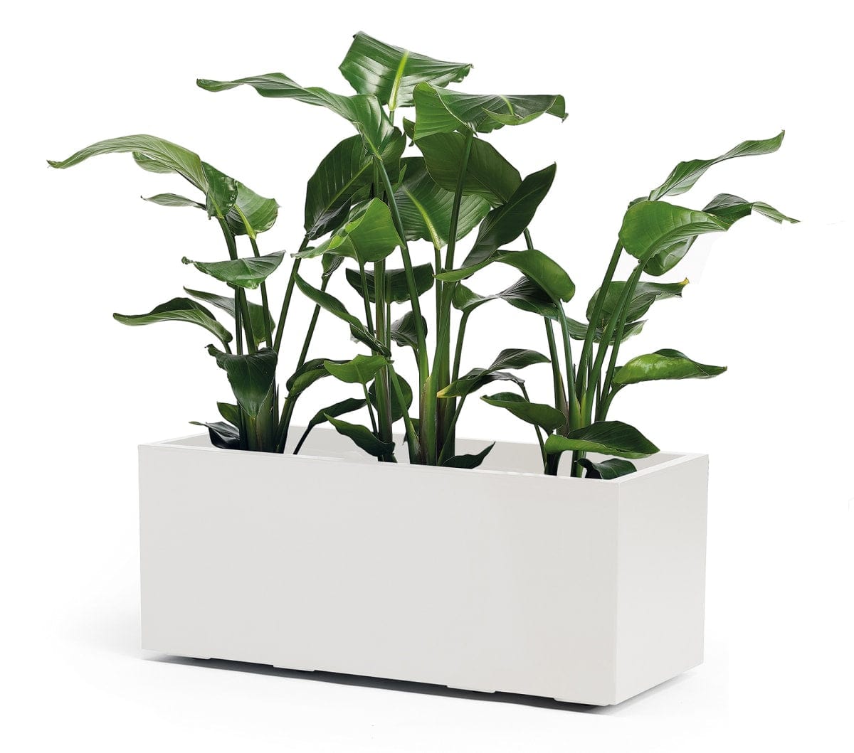 Bricocenter CASSETTA KEBE GREENER CM100X40 H40 BIANCO C/RUOTE