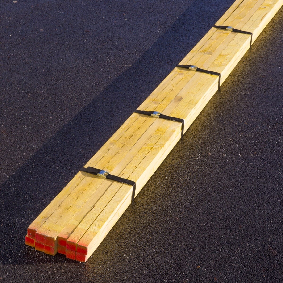 Bricocenter MINI STRAP W/BUCKLE 25MMX60CM 4PCS