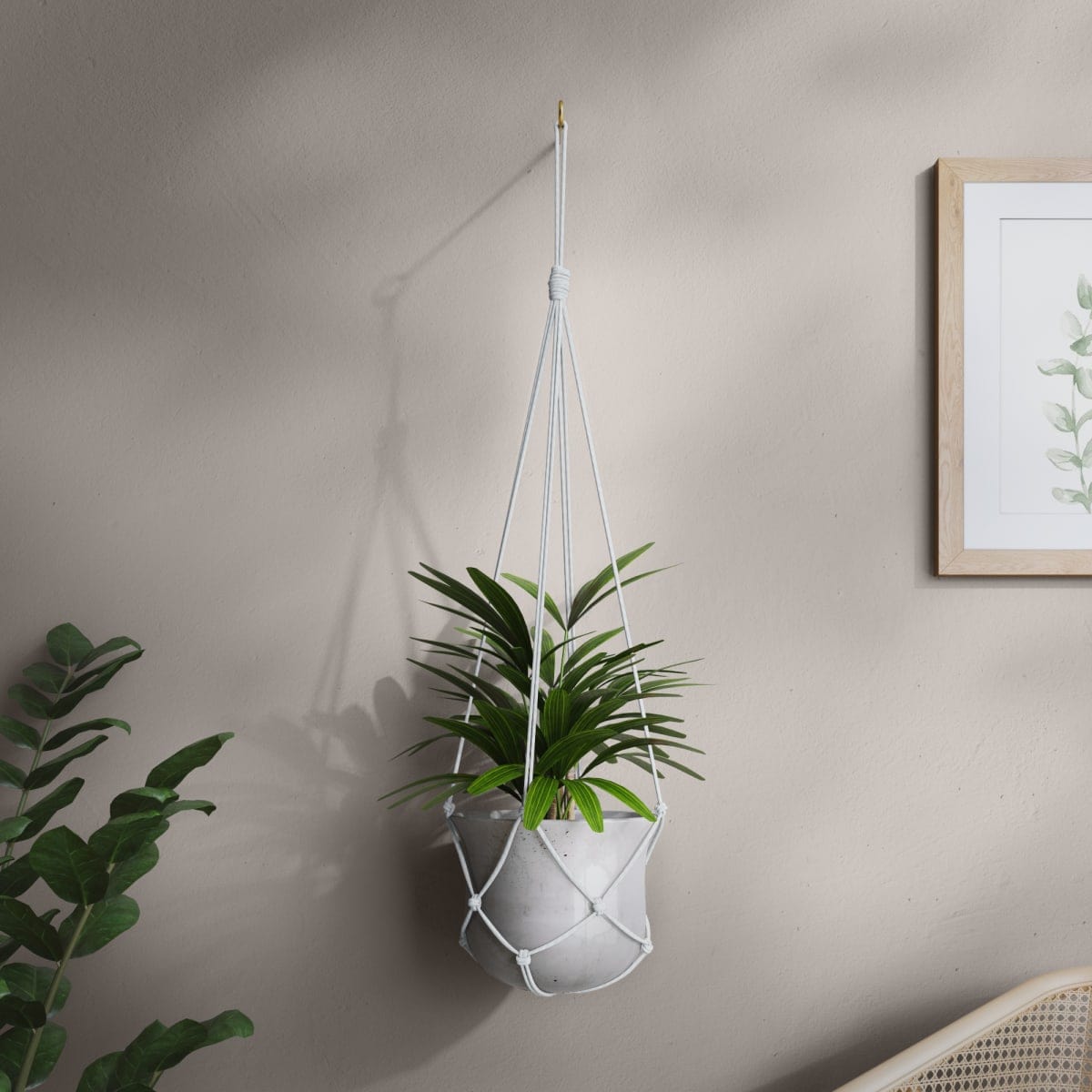 Bricocenter PP ROPE WHITE BRAID D6MM 20M