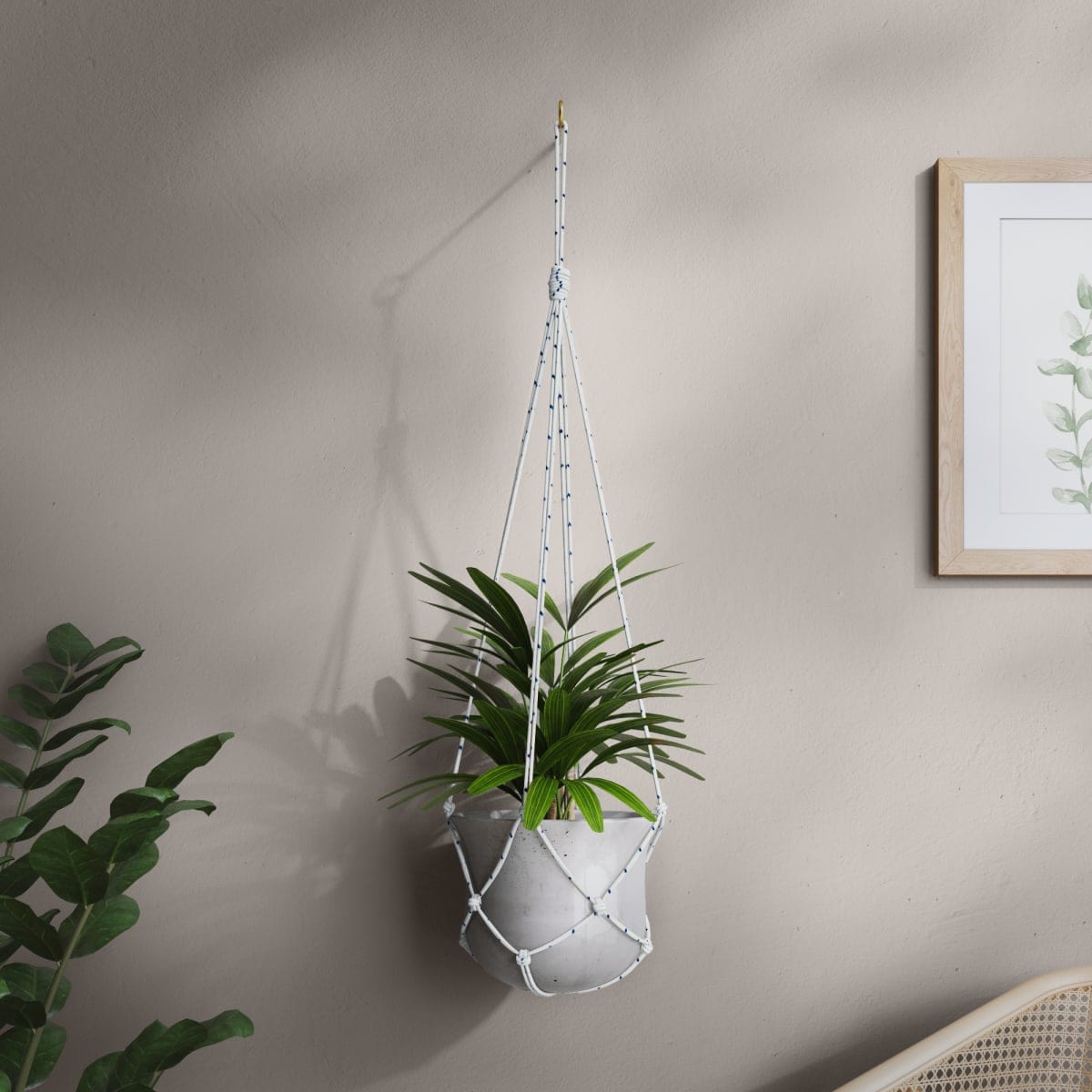 Bricocenter WHITE BRAIDED PP ROPE D8MM 15M