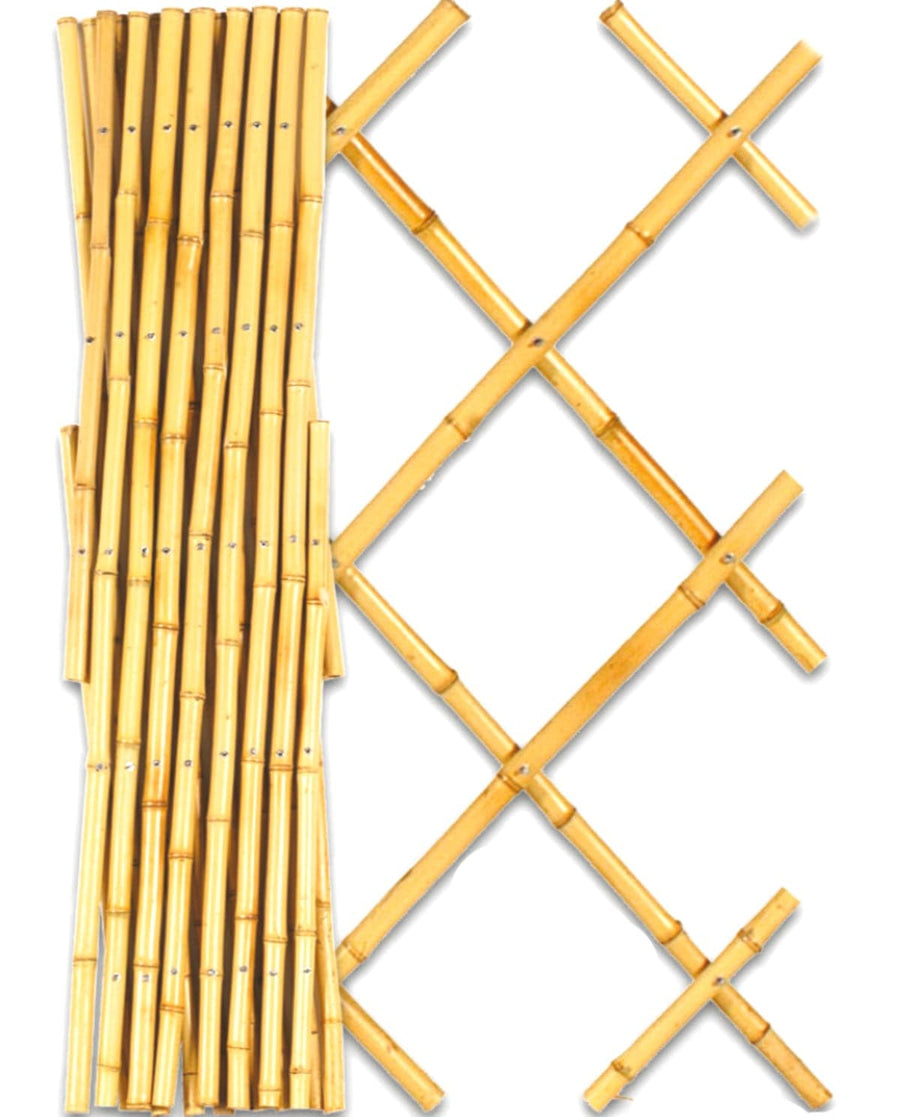 Bricocenter EXTENSIBLE NATURAL BAMBOO TRELLIS 90X180 CM