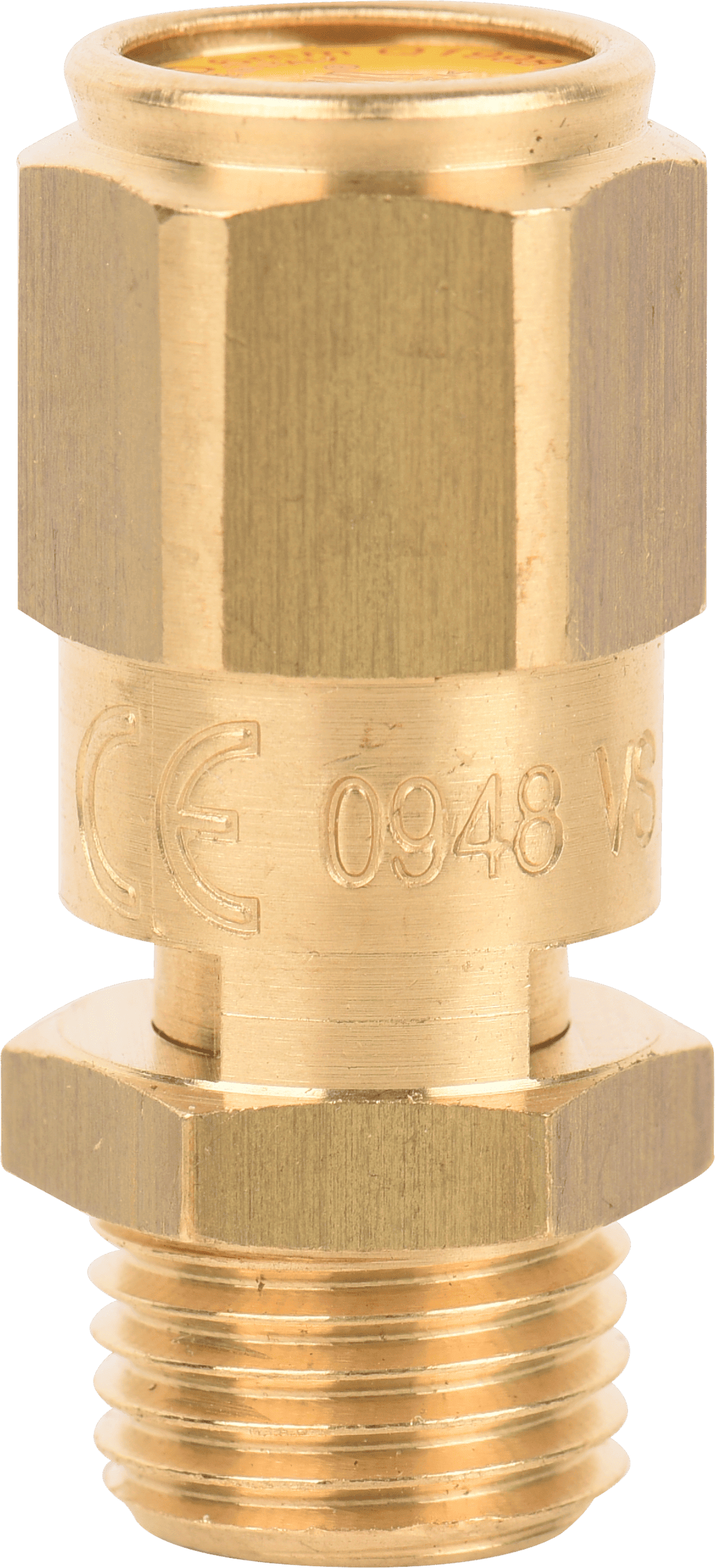 DEXTER PRESSURE VALVE