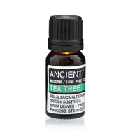 10 ml Tea Tree Essential Oil - best price from Maltashopper.com EO-02