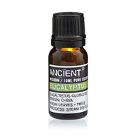 10 ml Eucalyptus Essential Oil - best price from Maltashopper.com EO-03