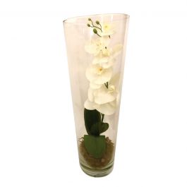 COMPOSITION ORCHID IN GLASS POT cm 50