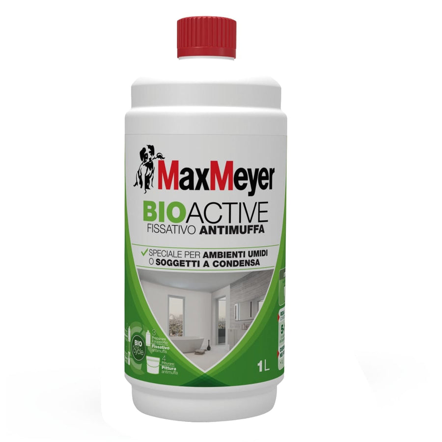 Bricocenter ANTI-MOULD FIXATIVE BIOACTIVE 1LT