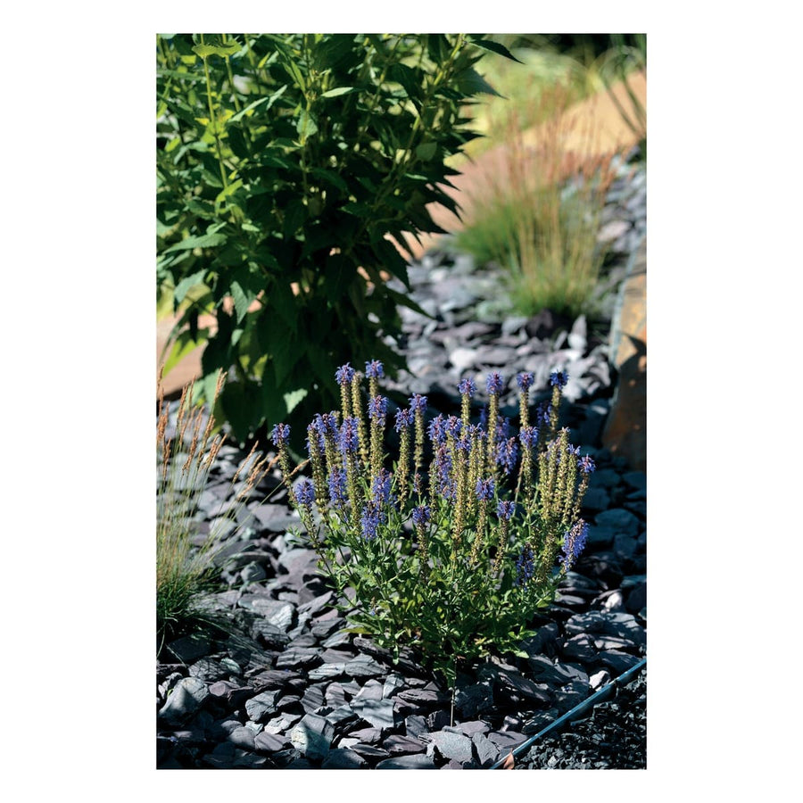 Bricocenter BLACK SLATE 30/50 MM BAG OF 20 KG