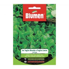 SMOOTH LEAF BLOND CUTTING LETTUCE