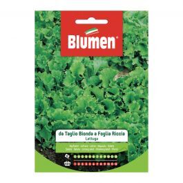 BLOND CUT CURLY LEAF LETTUCE