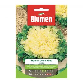 BLOND ESCAROLE FULL HEART