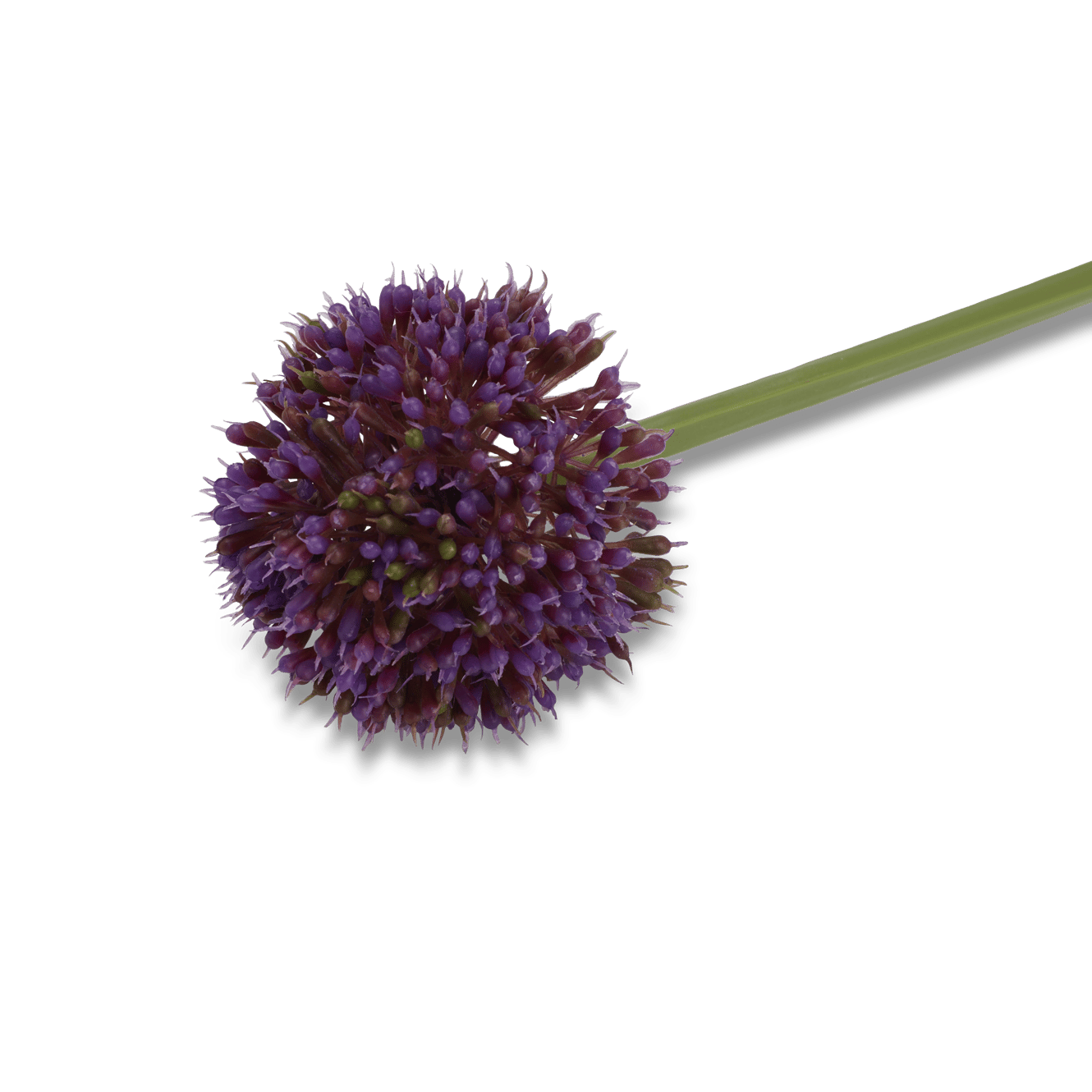Casa ALLIUM DECO ONION 51CM PURPLE