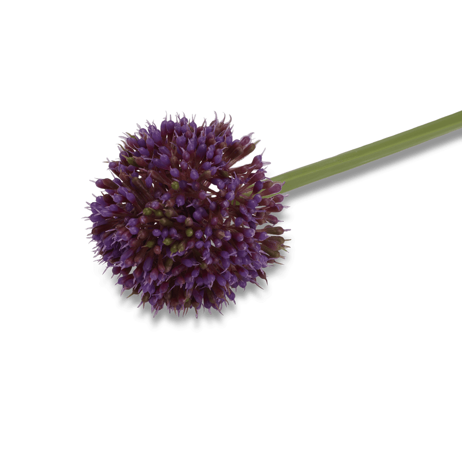 Casa ALLIUM DECO ONION 51CM PURPLE