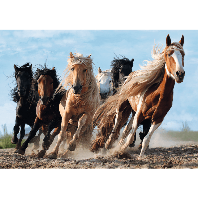 Toys 1000 Piece Puzzle - Galloping Horses