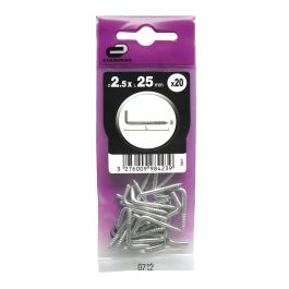 20 GALVANIZED STEEL SCREW GATE2.5X25