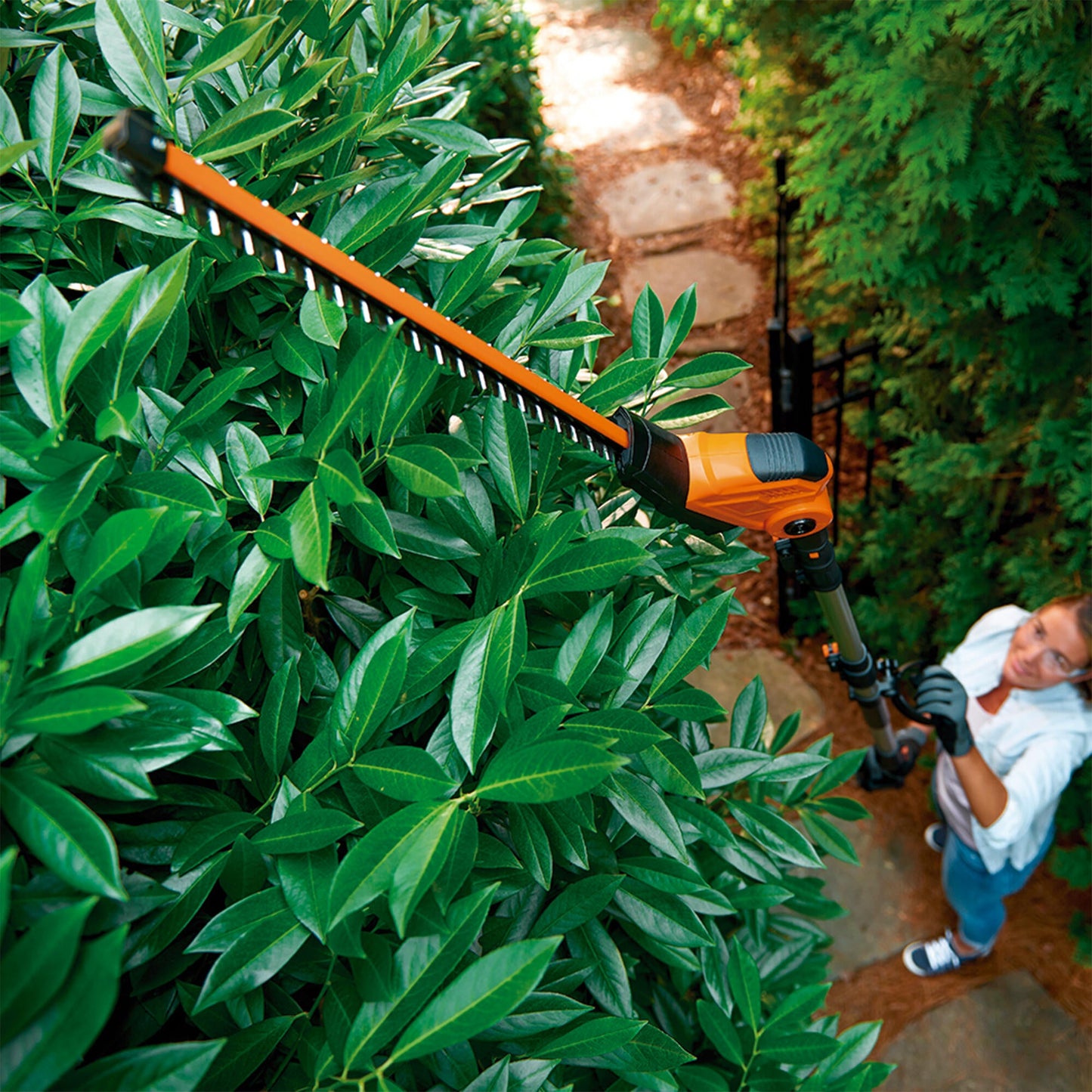 HEDGE TRIMMER WITH EXTENSION 3.6MT BATTERY OPERATED BLADE 45CM BATTERY AND CHARGE NOT INCLUDED