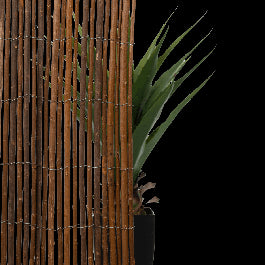 NATERIAL NATURAL ARELLA 1X3MT MEDIUM COVER