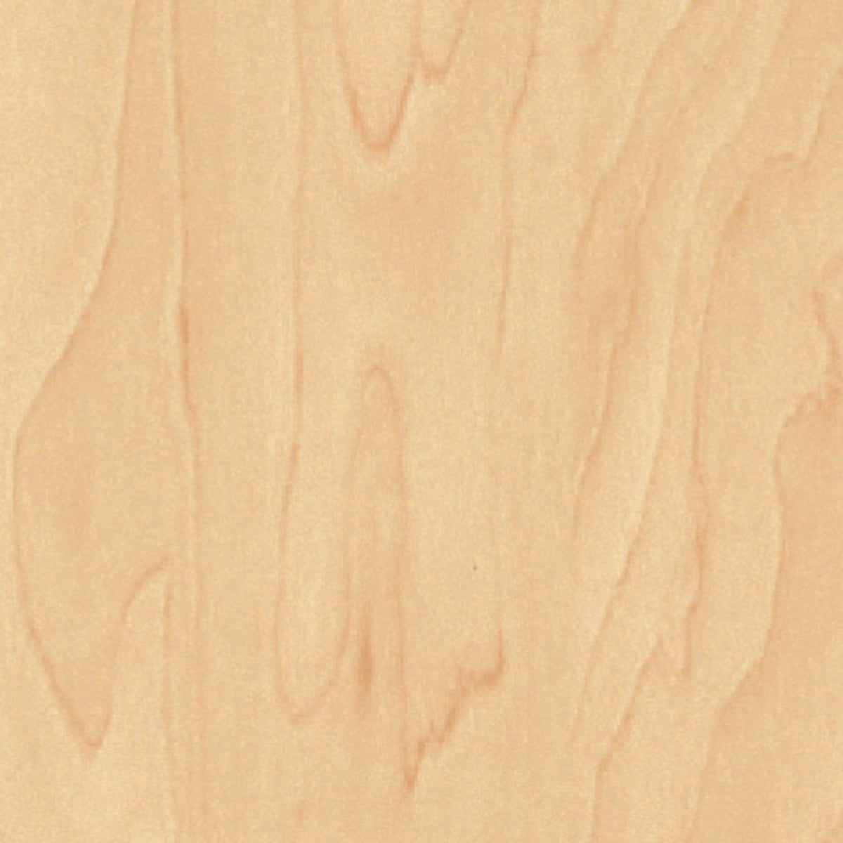 Beech-patterned adhesive film, 2 m x 45 cm