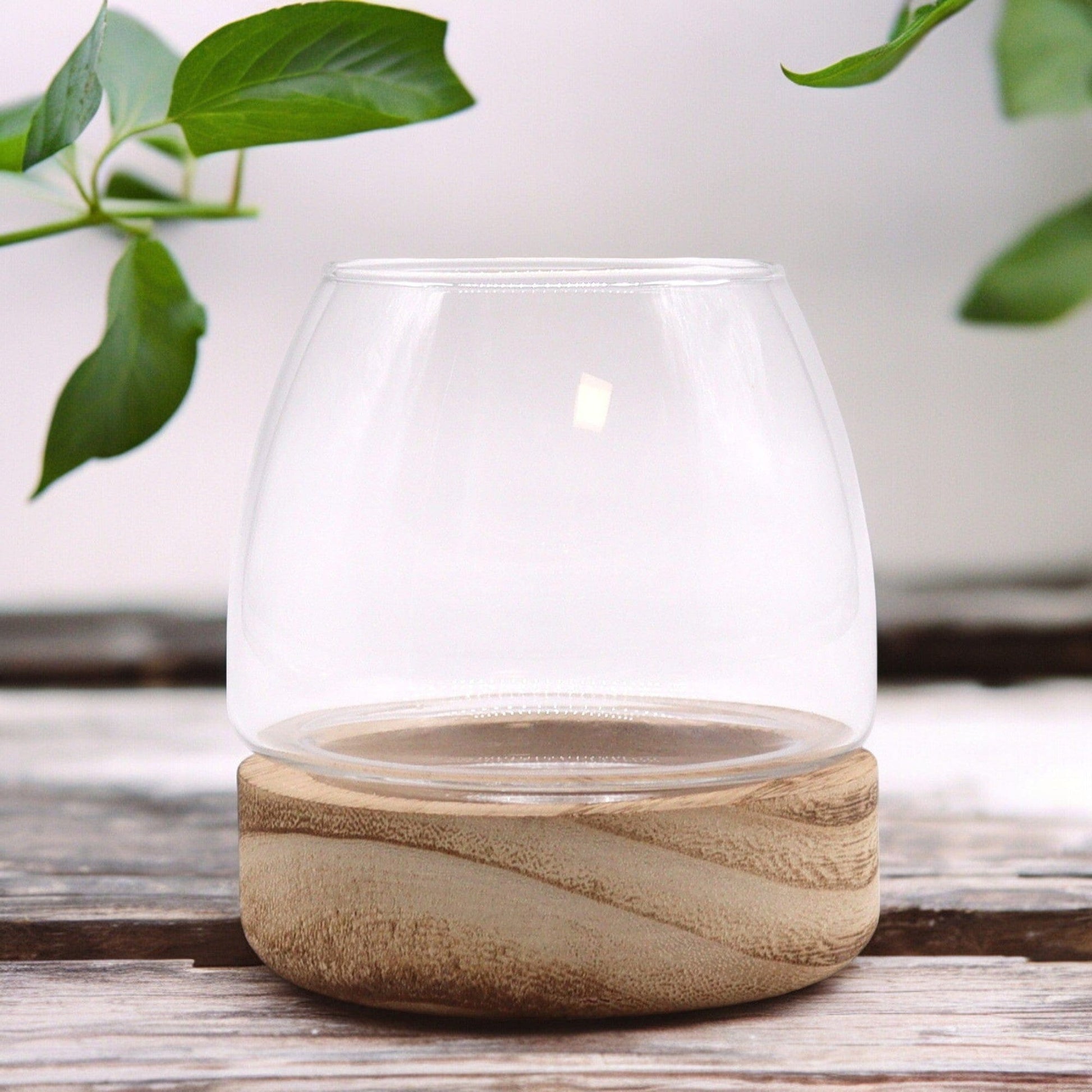 Bliss Mini Terarium on Natural Tung Wood - 10x10cm