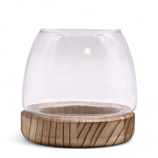 Bliss Small Terarium on Natural Tung Wood - 13x13cm