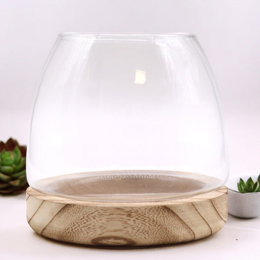 Bliss Medium Terarium on Natural Tung Wood - 15x15cm