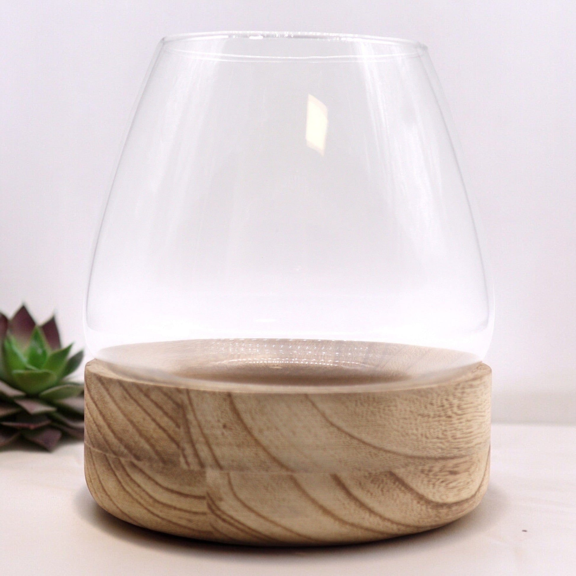 Bliss Large Terarium on Natural Tung Wood - 17x19cm