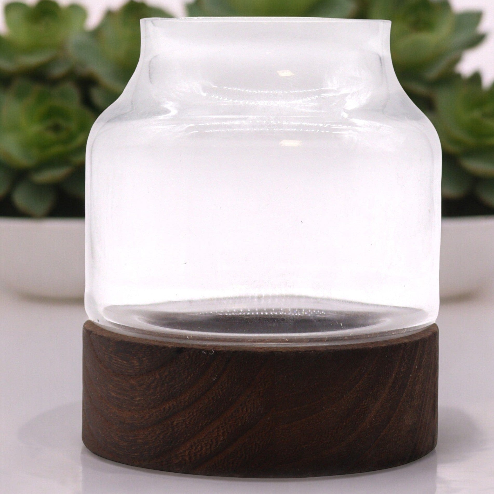 Bliss Medium Shaped Terarium on Dark Tung Wood - 16x18cm