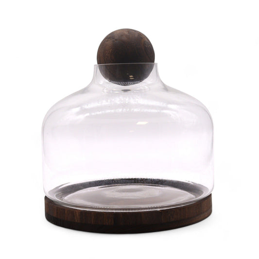 Bliss Ex-Large Ball Top Terarium on Dark Tung Wood - 23x23cm
