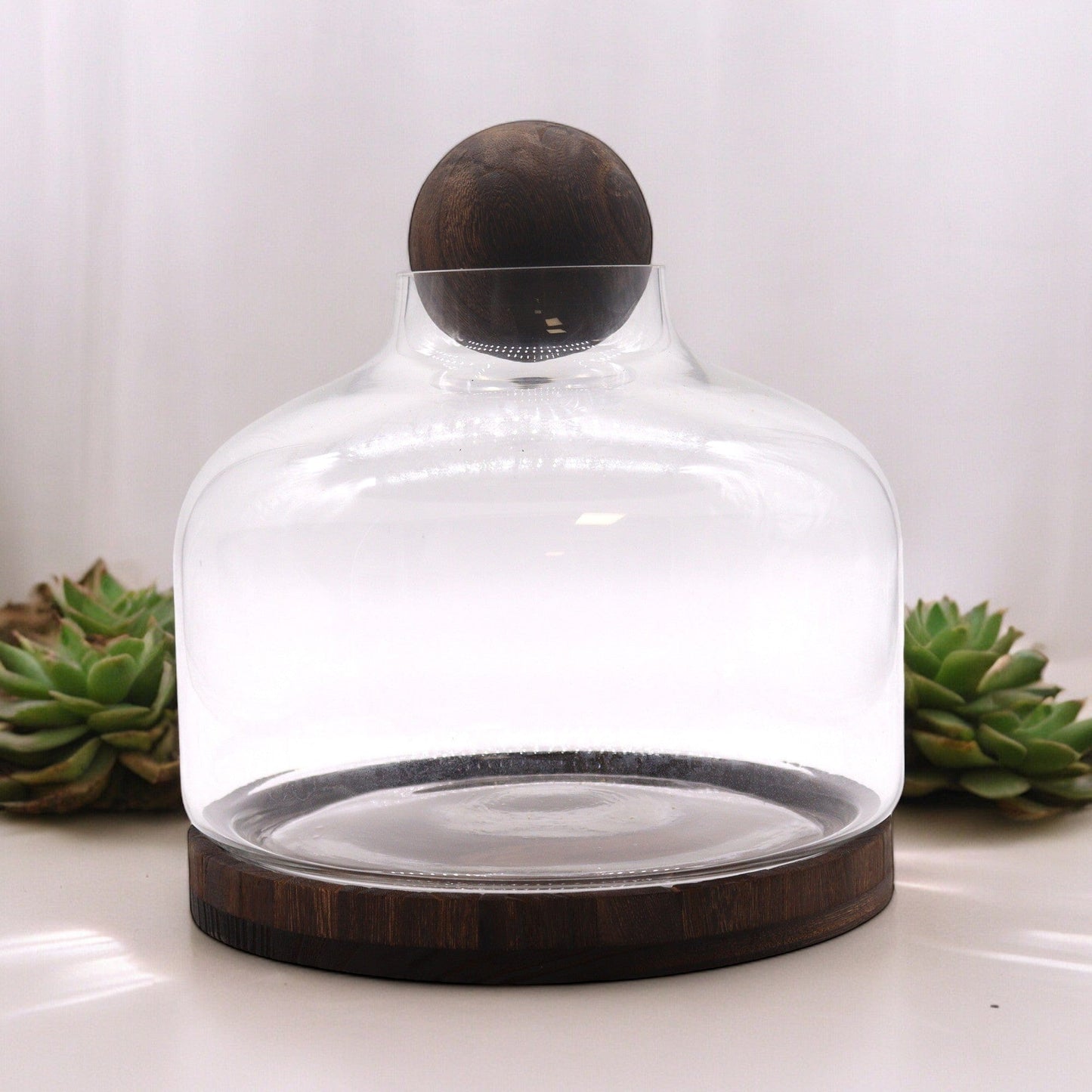 Bliss Ex-Large Ball Top Terarium on Dark Tung Wood - 23x23cm