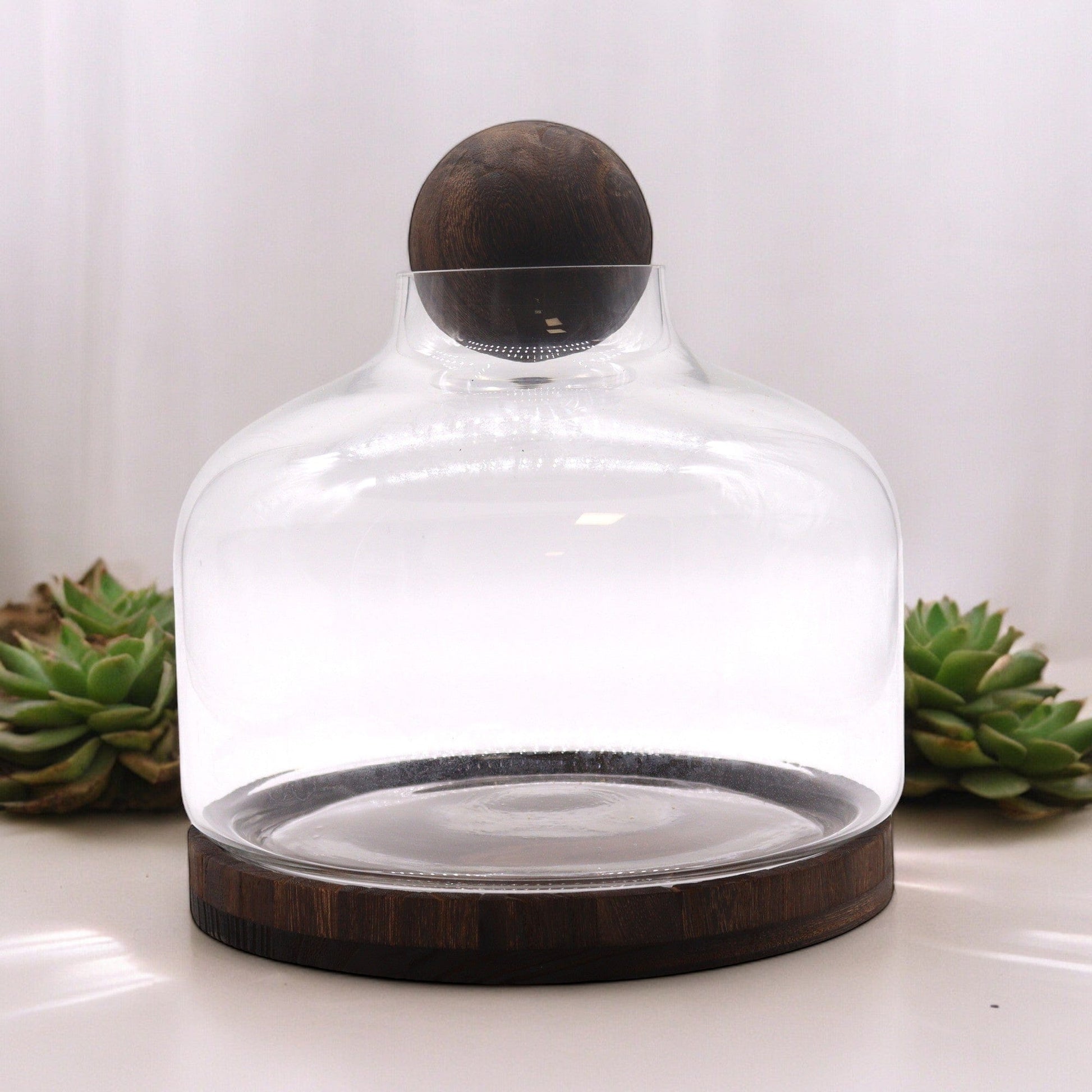 Bliss Ex-Large Ball Top Terarium on Dark Tung Wood - 23x23cm