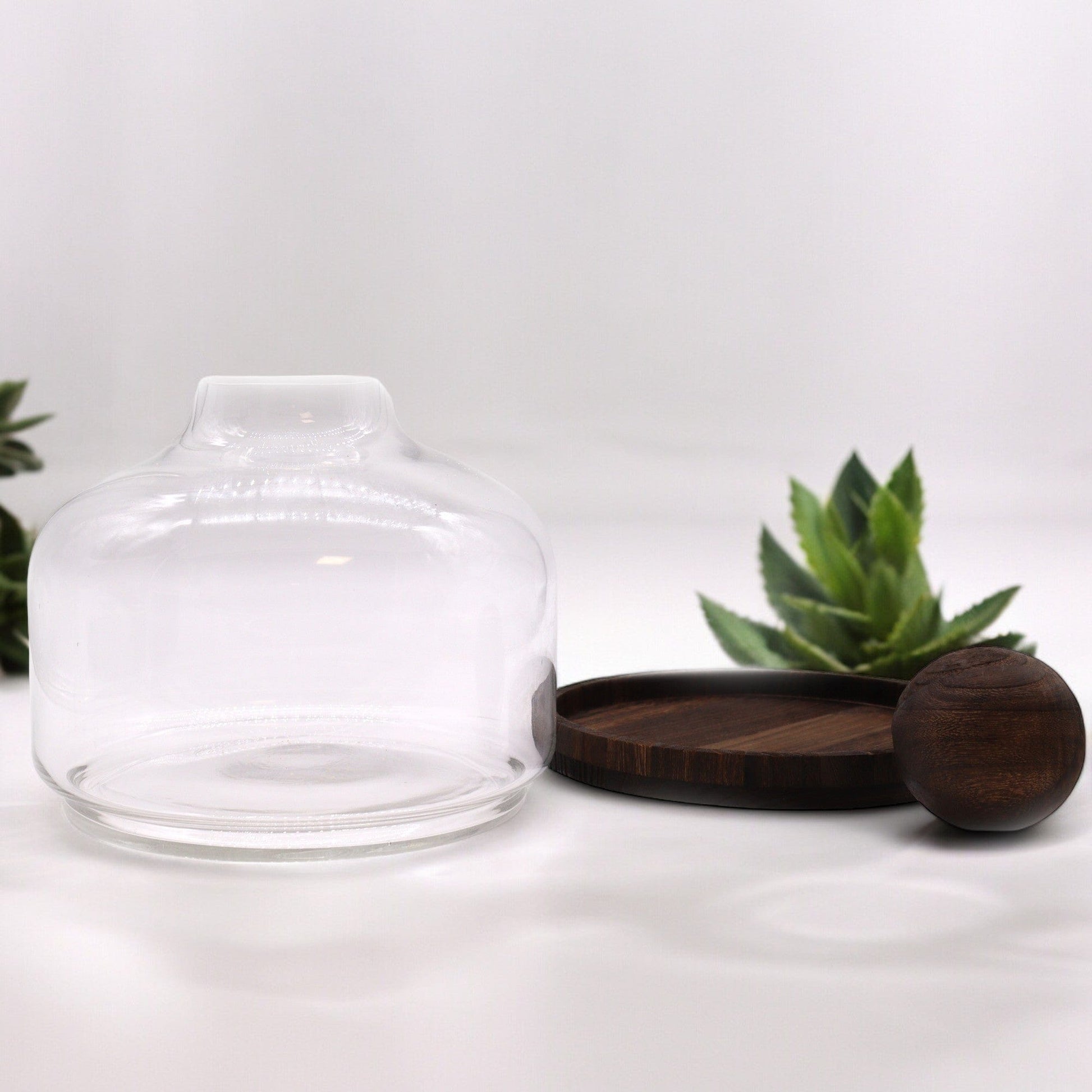 Bliss Ex-Large Ball Top Terarium on Dark Tung Wood - 23x23cm